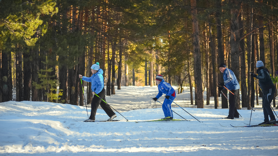 Shop Winter. Image description: a family of 4 with two children and two adults all in various shades of blue winter outerwear are cross-country skiing across a snowy trail. The sun is shining brightly through the tall evergreen trees behind them.
